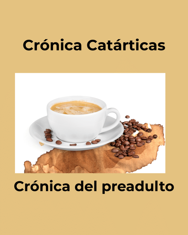 Crónica del pre adulto