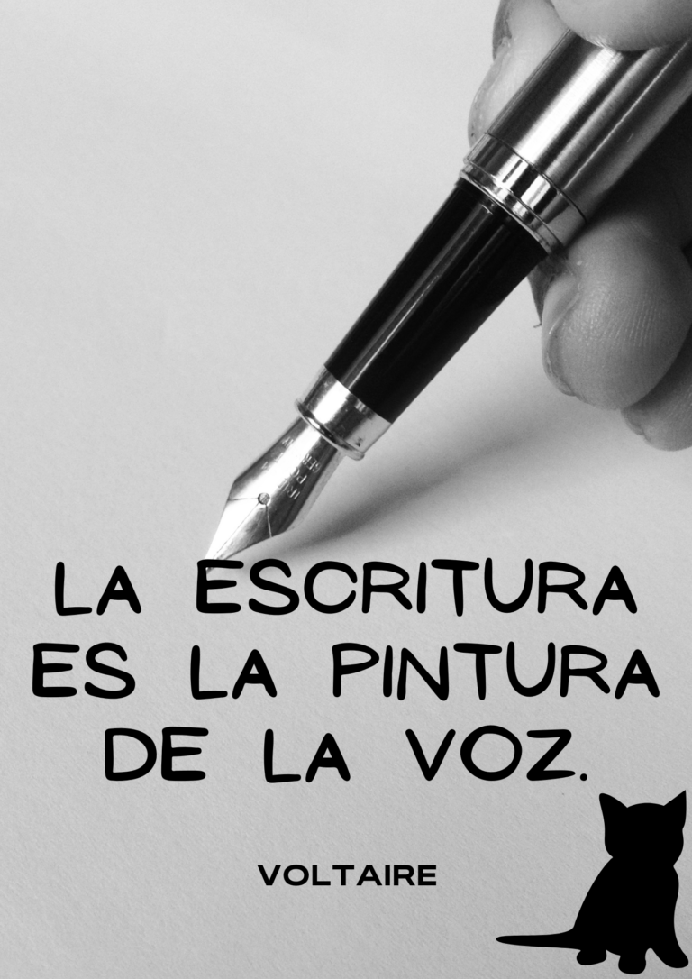 Bolsa de Gatos nº8
