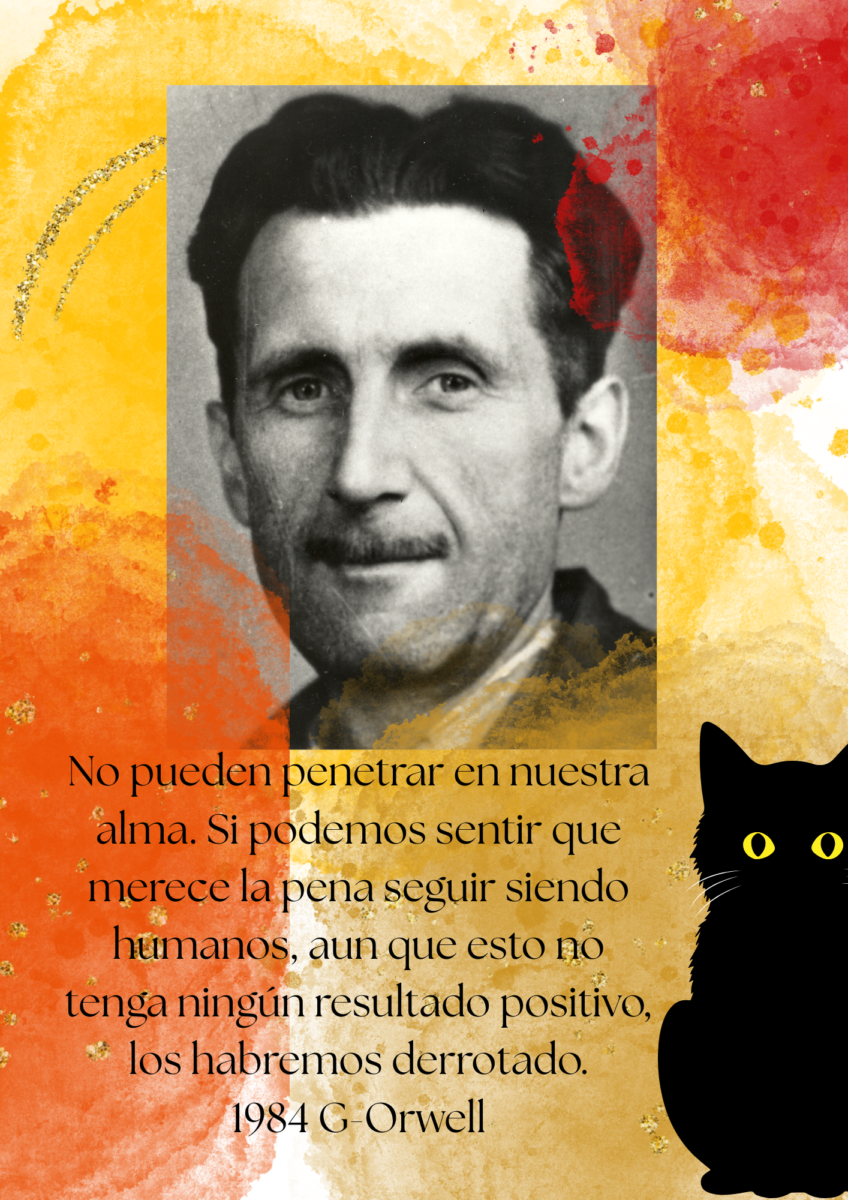 Bolsa de Gatos nº17