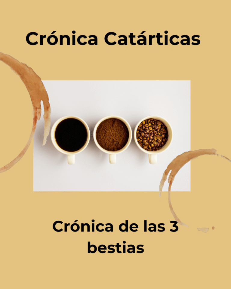 Crónica de las 3 bestias