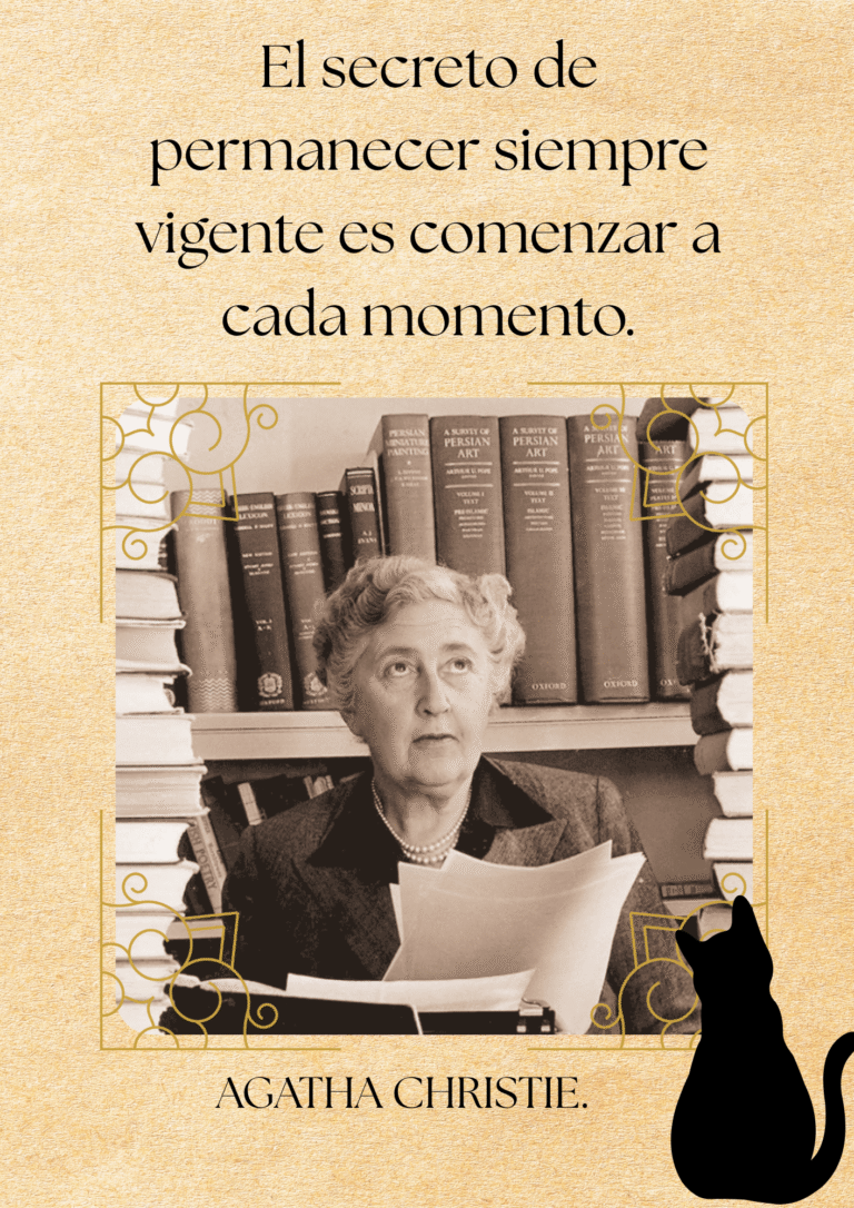 Bolsa de Gatos N.º25