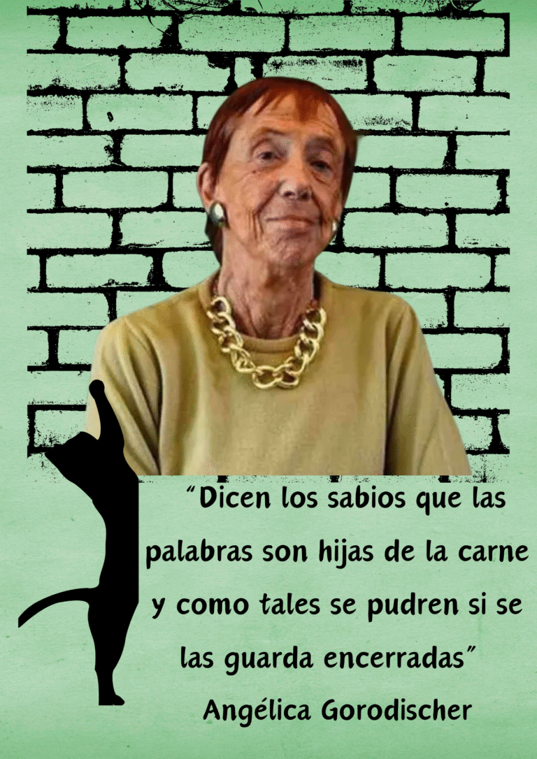 Bolsa de Gatos nº28