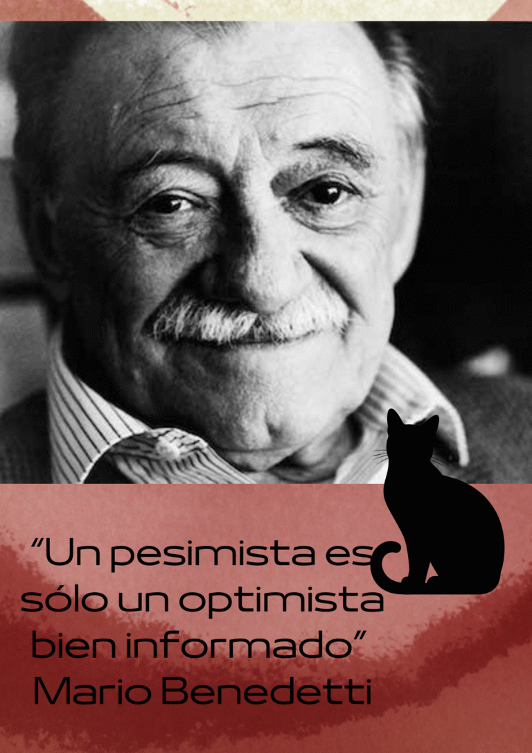 Bolsa de Gatos n°29